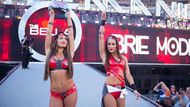 The Bella Twins will always dominate WWE